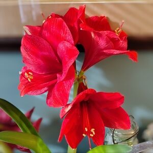 Meet your Posher, Mindy